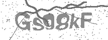 visual captcha